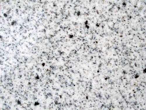 蘑菇TV官方网站登录入口產地