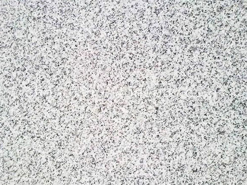 蘑菇TV官方网站登录入口