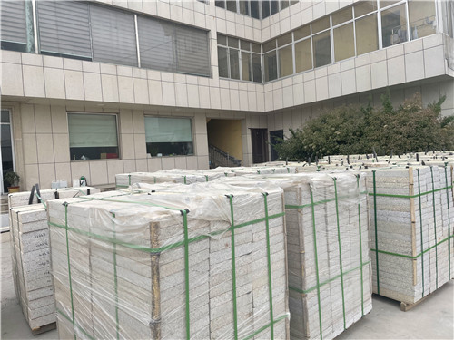 蘑菇视频色版下载蘑菇视频无限观看下载